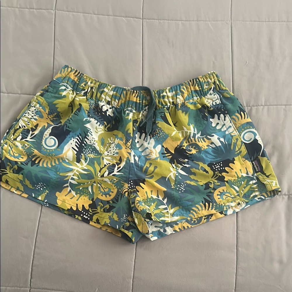 Patagonia Blue and Green Athletic Shorts